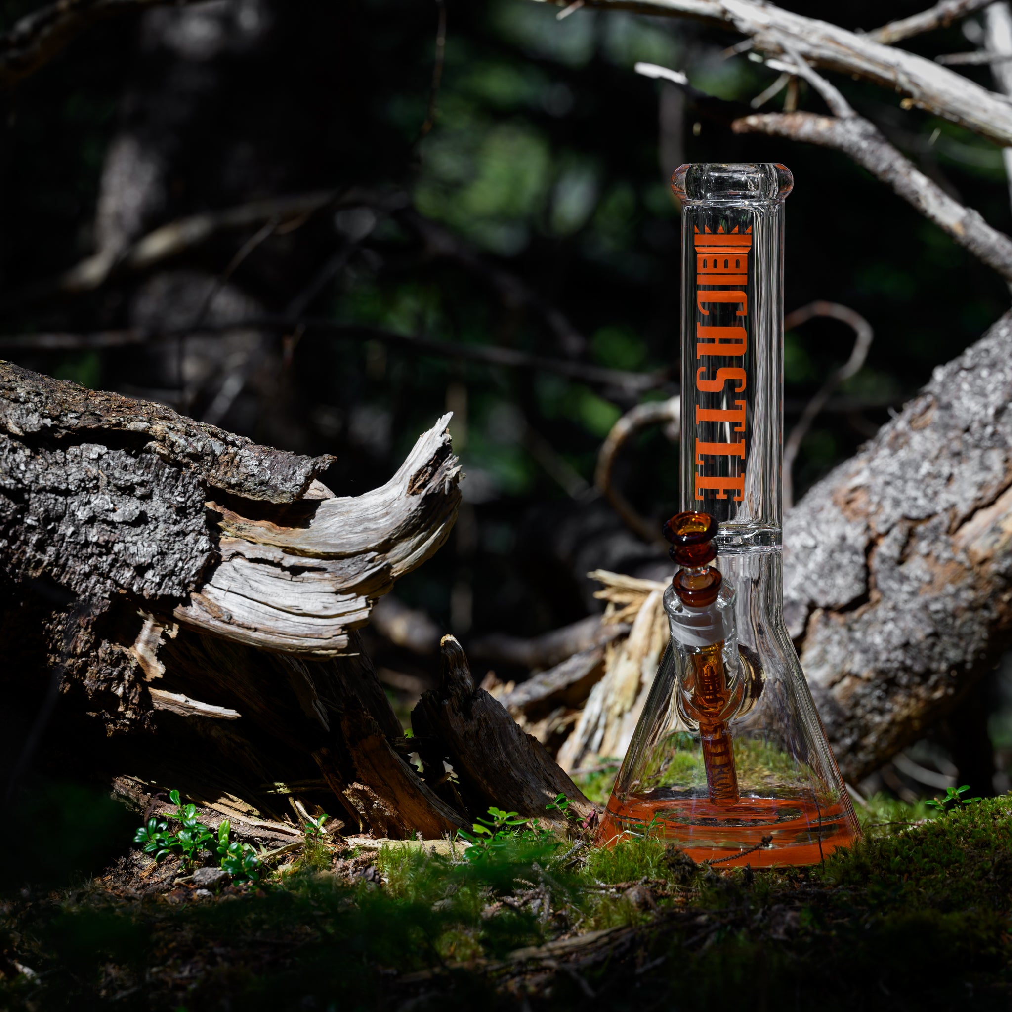 A clear glass beaker bong with an amber-colored accents and downstem and bowl, featuring an amber "Castle" logo vertically on the neck. The bong is placed on a forest floor amidst fallen tree branches and lush green moss, creating a striking contrast between the sleek glassware and the rugged natural surroundings. The sunlight filters through the trees, casting dappled light and shadows, enhancing the outdoor, earthy ambiance of the scene.