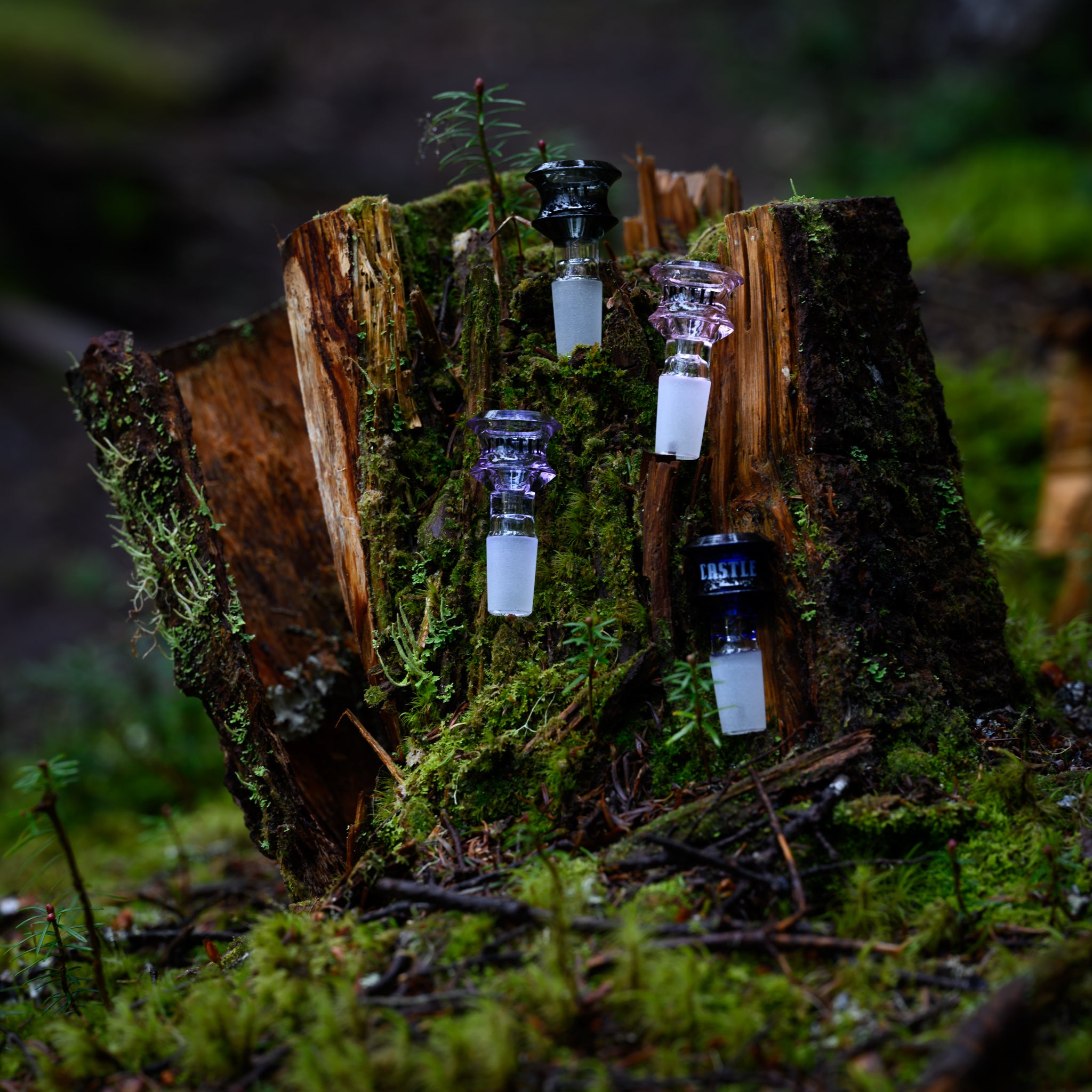 Glass bong bowls with various colors are embedded in a moss-covered tree stump in a forest setting. The bowls are neatly arranged vertically, creating a striking contrast with the rich green moss and natural wooden textures of the stump. The surrounding forest floor is covered in foliage and twigs, adding to the earthy and serene atmosphere of the scene.