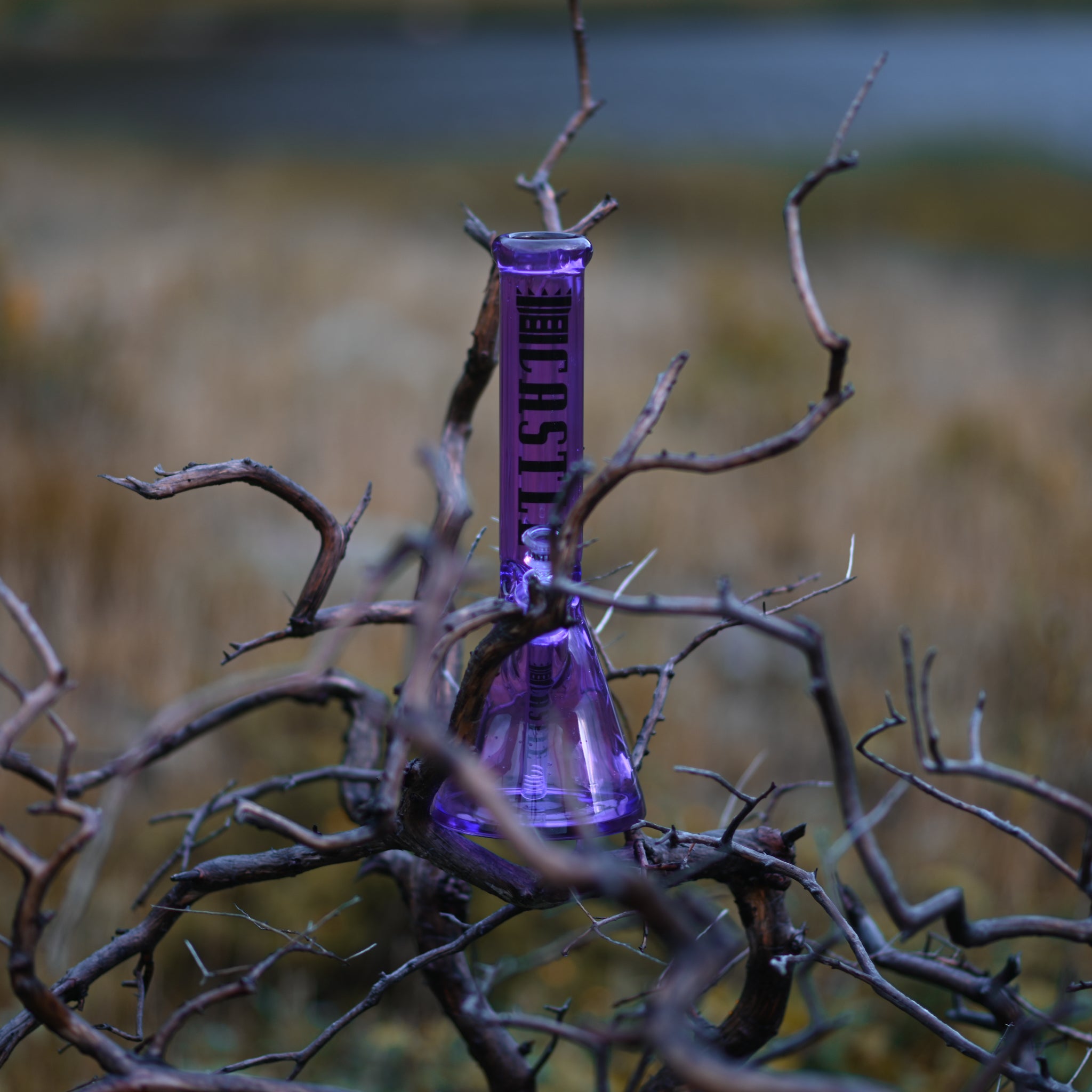 A vibrant purple electroplated glass beaker bong with the "Castle" logo etched vertically on the neck. The bong is nestled among the twisted branches of a leafless tree, set against a blurred natural background of grassy fields and a body of water. The contrast between the shiny, colorful bong and the stark, organic shapes of the branches creates a striking visual, highlighting both the beauty of the crafted object and the raw elegance of the natural environment.