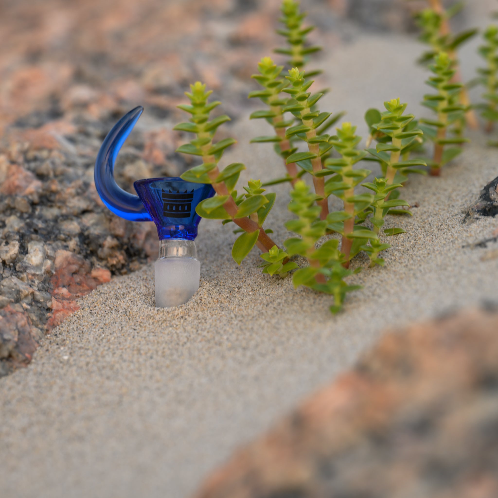 A blue glass bowl attachment for a bong, featuring the "Castle" logo, partially buried in sand. The bowl's handle extends upwards, and it is positioned next to small green plants growing in the sand. The natural setting includes rocky terrain, adding a contrast between the smooth glass, the sandy ground, and the rugged rocks.