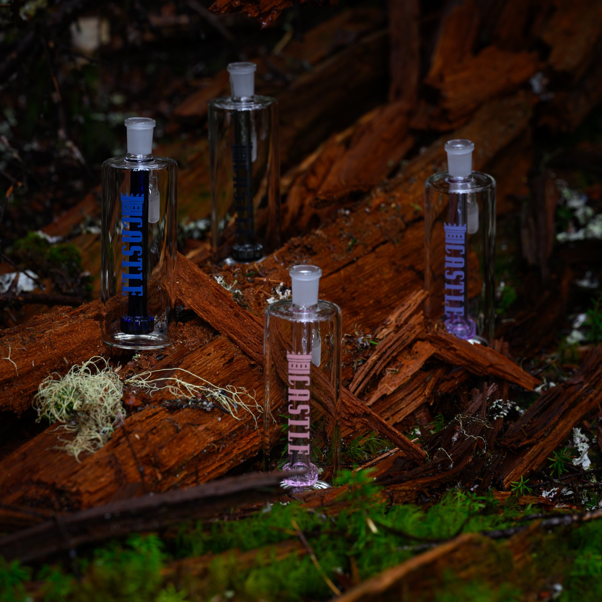 Four clear glass ash catchers, each branded with the name "Castle" in different colors (blue, black, pink, and purple), are arranged on a fallen, decaying log in a forest setting. The log is surrounded by moss, lichen, and small plants, adding texture and richness to the natural backdrop. The ash catchers vary slightly in design and size, creating an interesting and harmonious display against the earthy tones of the wood and greenery.