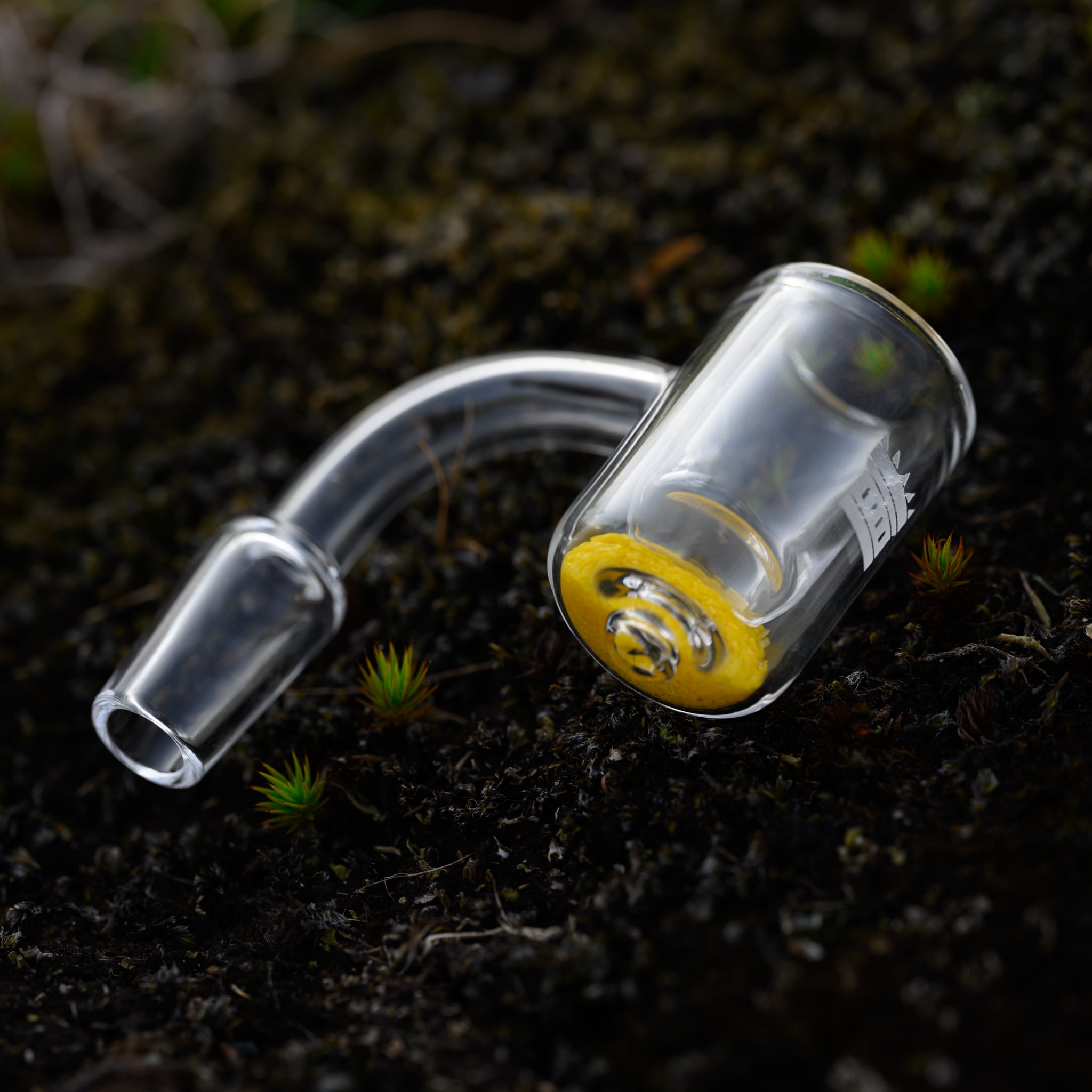 A clear glass banger with silicate sand inside and the Castle Glassworks logo etched on the side rests on dark, moist ground. The rich, earthy tones of the background contrast with the clean, transparent glass and vibrant yellow detail, highlighting the banger's sleek design and craftsmanship. Small, green plants sprout around the banger, adding a touch of natural beauty to the scene.